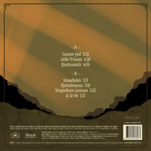 Toomas Vanem II [LP]